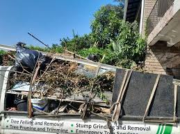 Best Moving and Downsizing Cleanouts  in Brooksville, MS